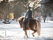 Winterausritte im Reiterdorf Ampflwang